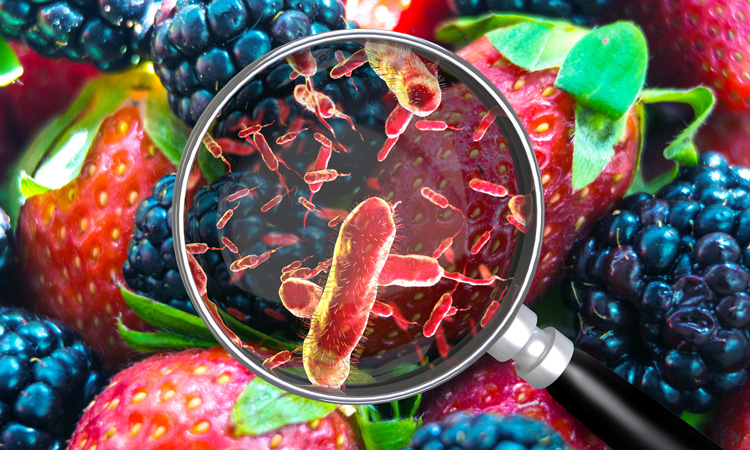 What You Need To Know About Foodborne Illnesses